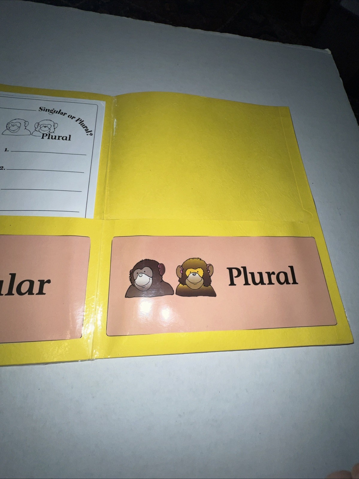 Singular Or Plural? Grades K-1 File Folder Game