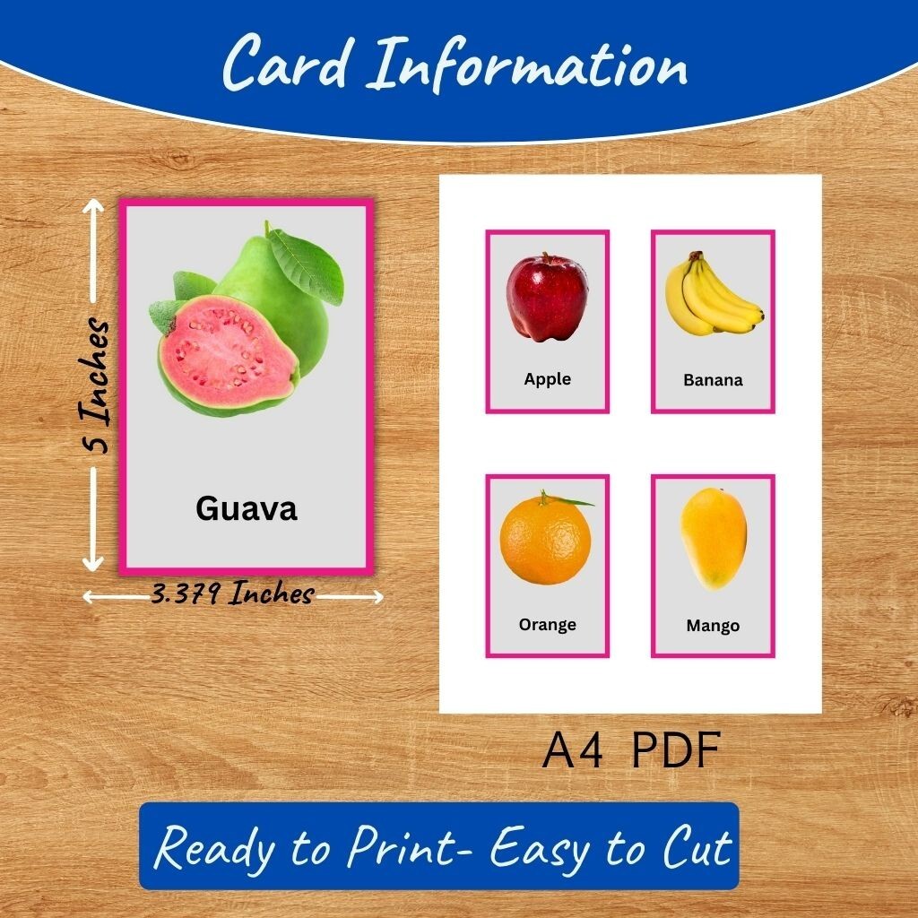 Printable Kids Flash Cards Bundle | Fruits, Vegetables, Animals, Birds, Fish