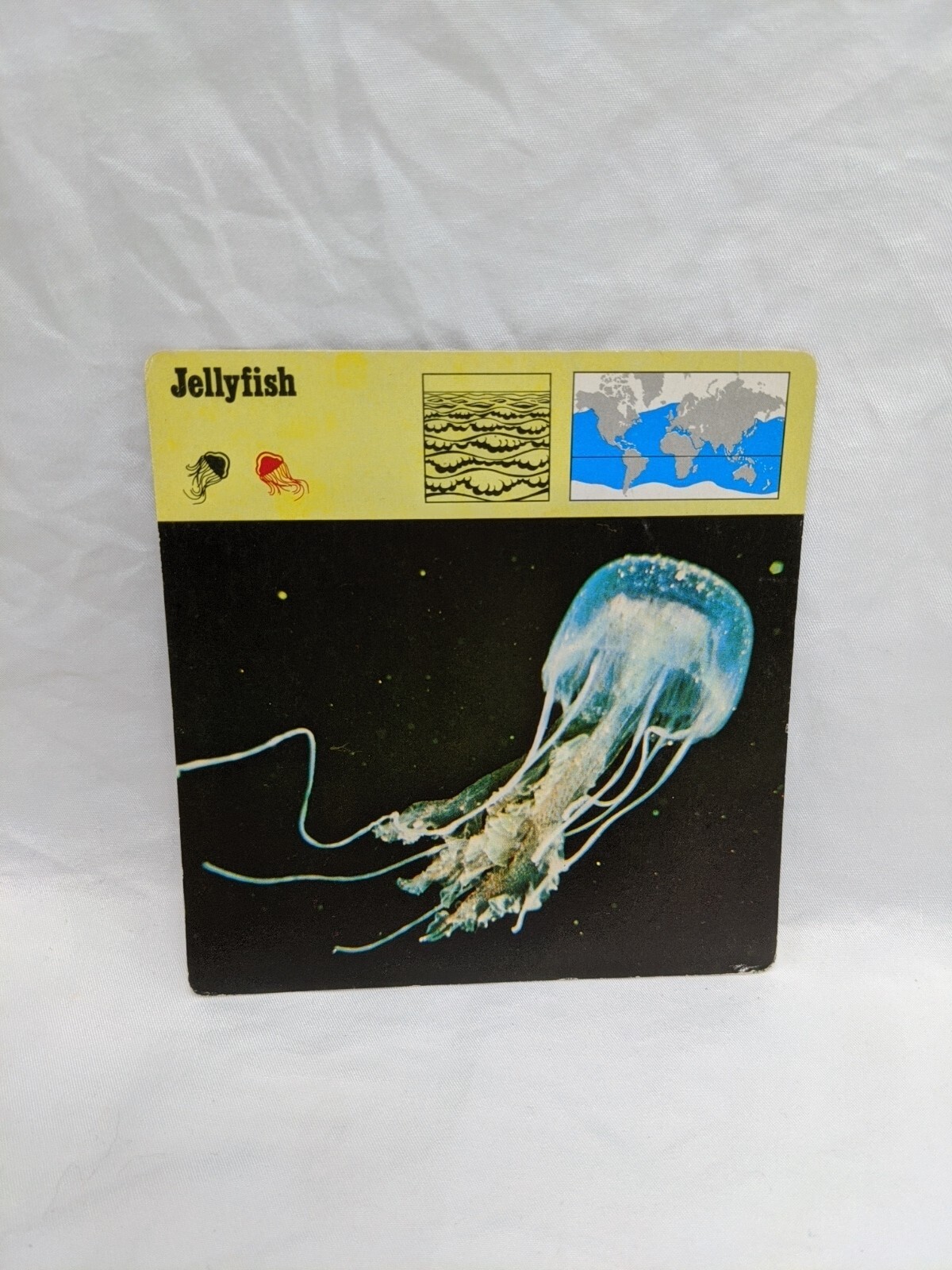 Lot Of (4) 1975 Rencontre Sponges And Jellyfishes Education Cards