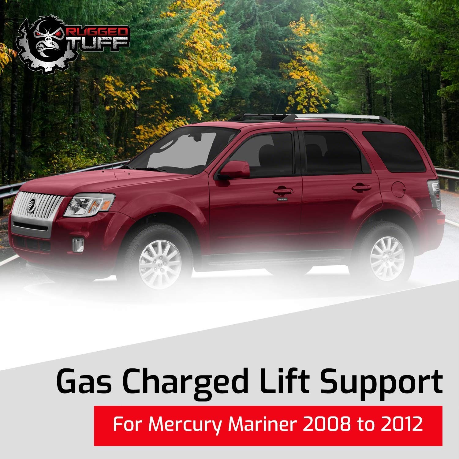Rear Back Window Glass Lift Support Shocks Struts for 2008-2012 Ford Escape, …
