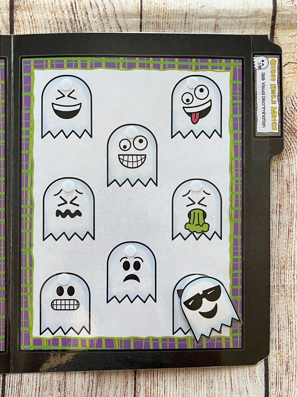 Ghost Face Matching File Folder Game Visual Discrimination Education Autism