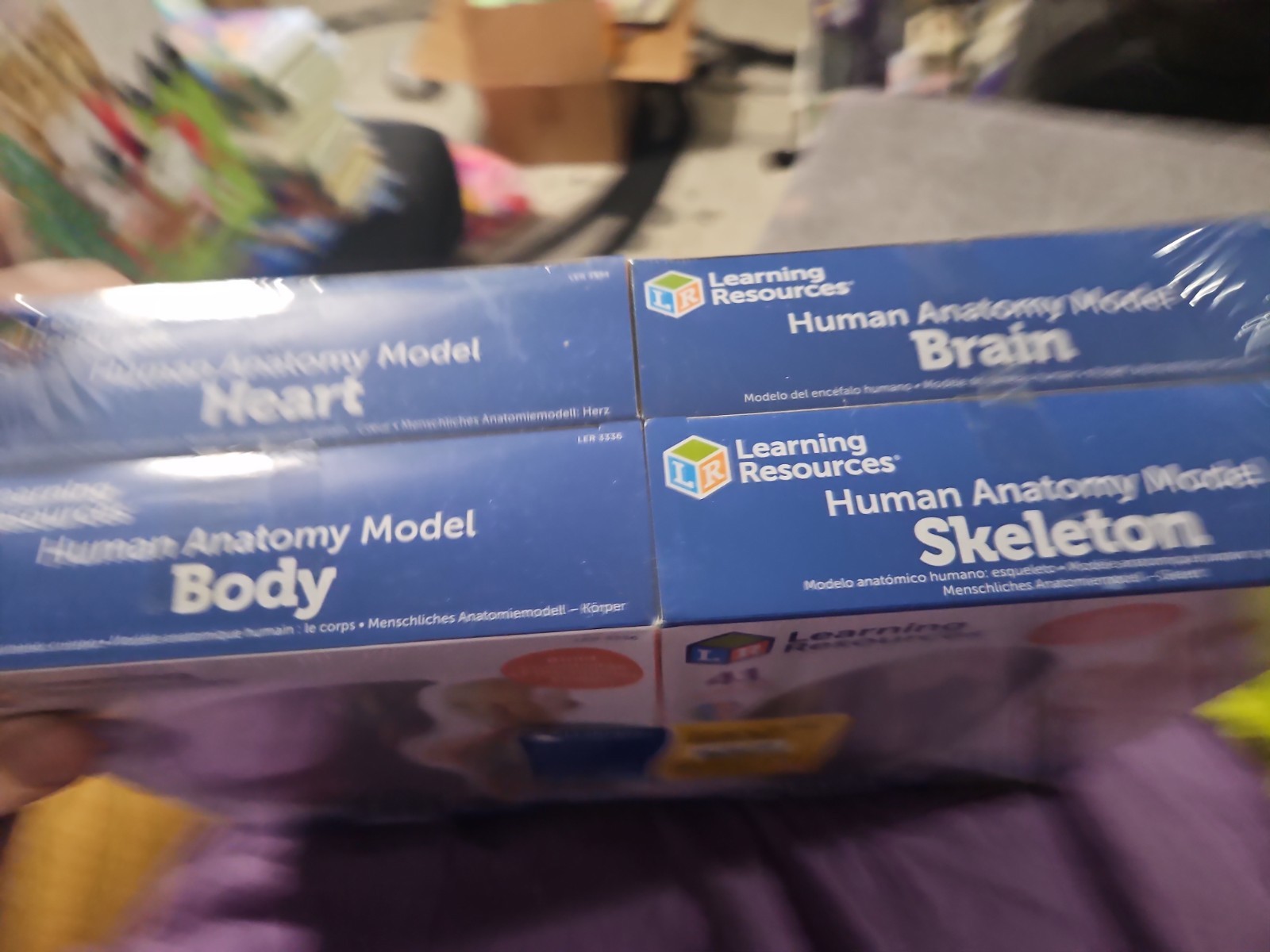 Learning Resources Anatomy Models Bundle Set Brain Body Heart Skeleton Classr…