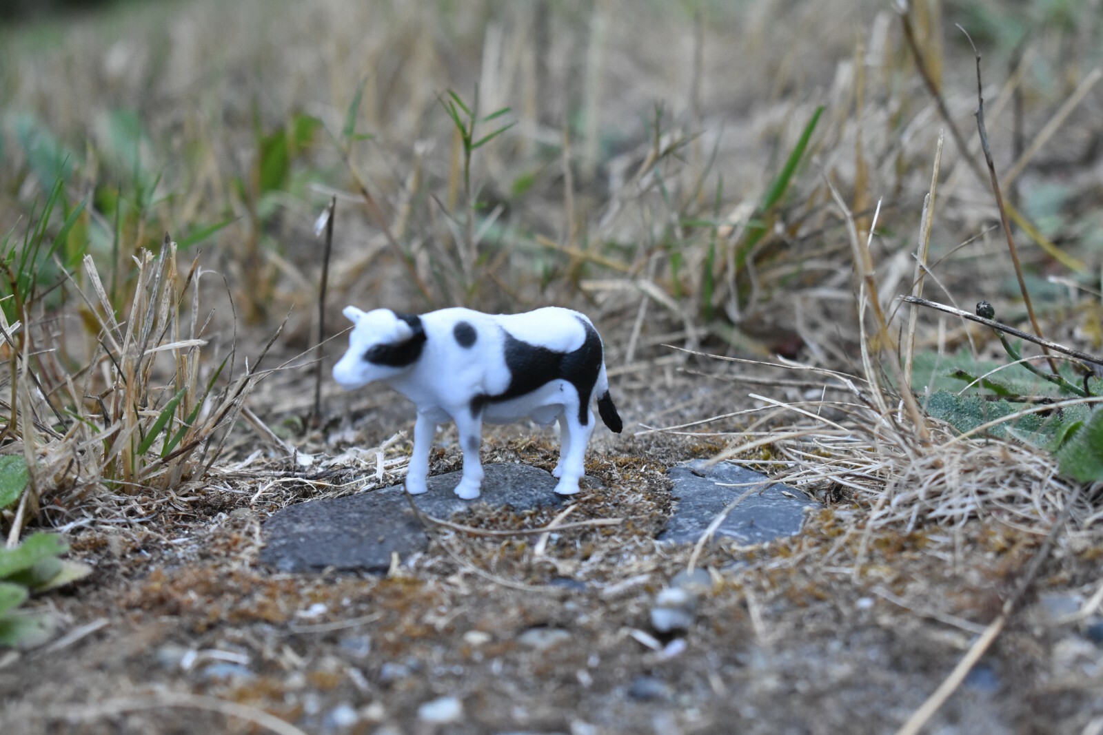 Cow, Dairy Realistic Small Toy Model Plastic Replica Farm Animal Kids 2.5″ F1845