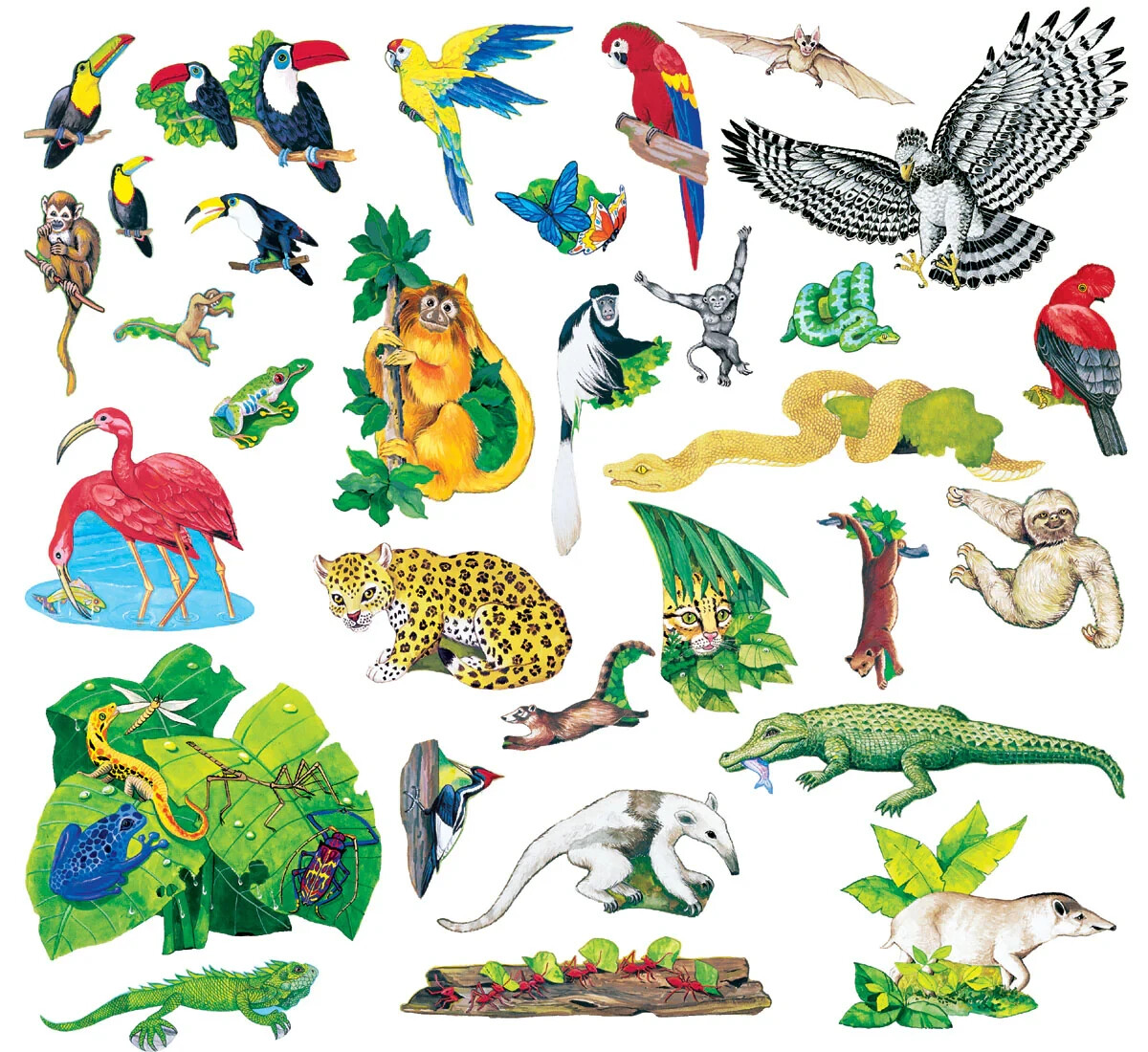 Little Folk Visuals Rain Forest Animals Precut Flannel/Felt Board Figures 31 Set