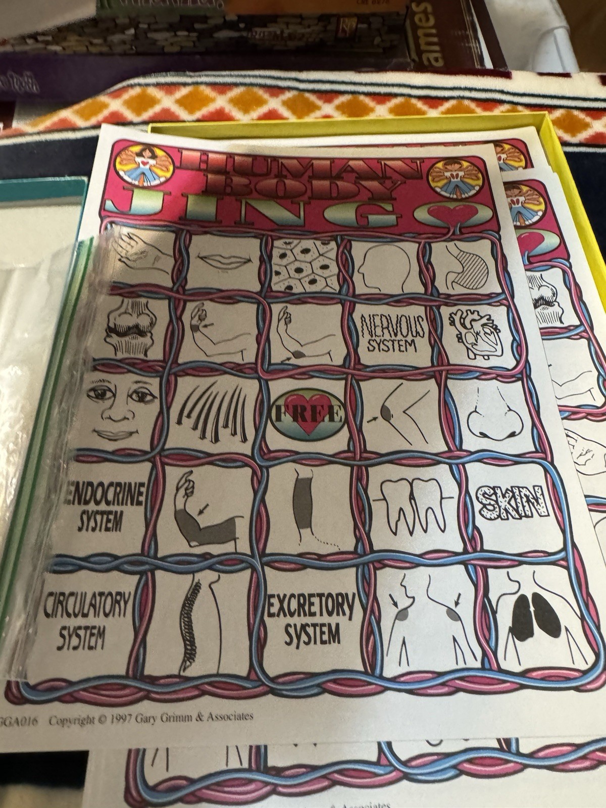 JINGO Human Body Bingo Educational Game by Gary Grimm School Homescho