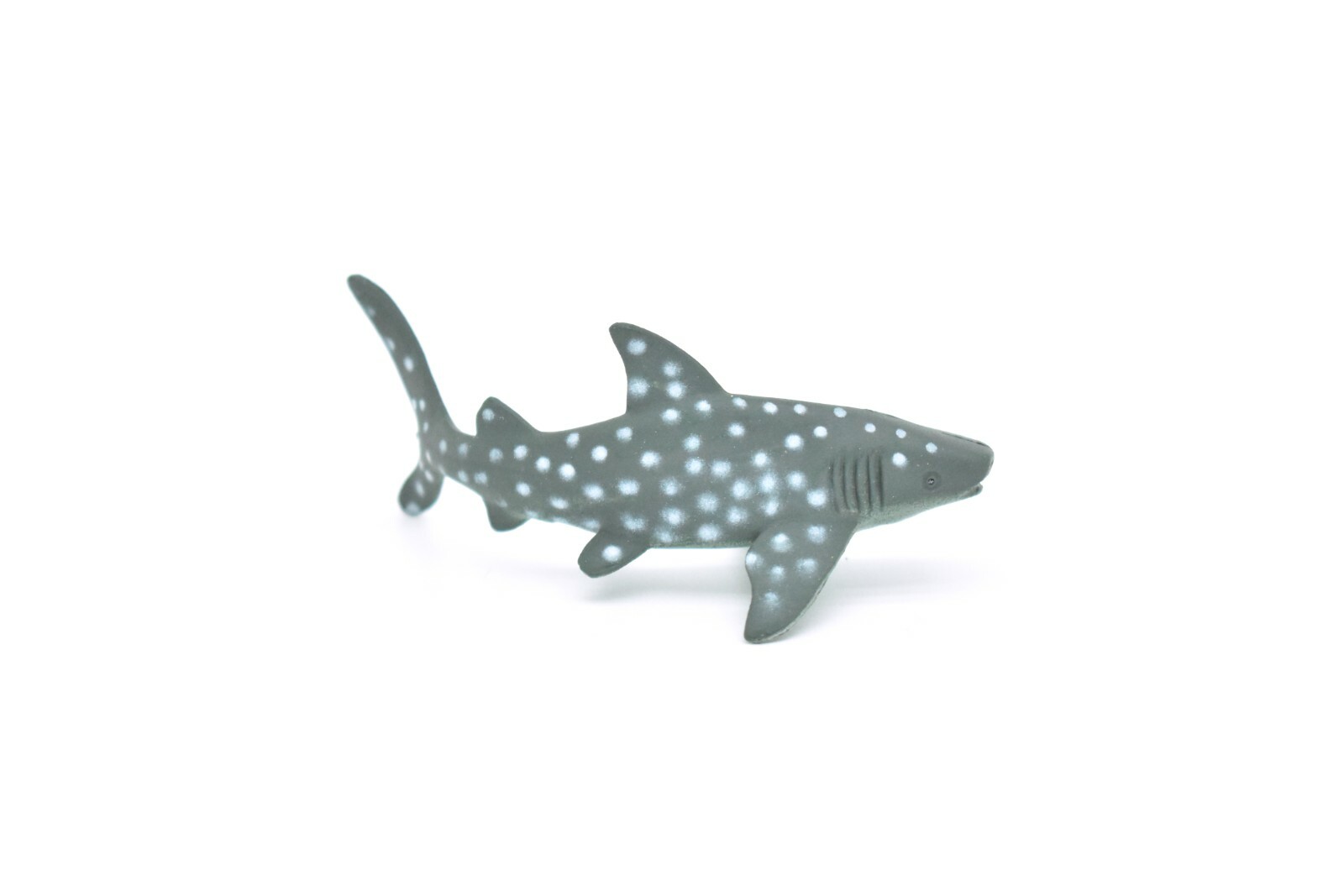 Whale Shark, Curved, Realistic Toy Model Plastic Replica, Kids Gift 3″ F235