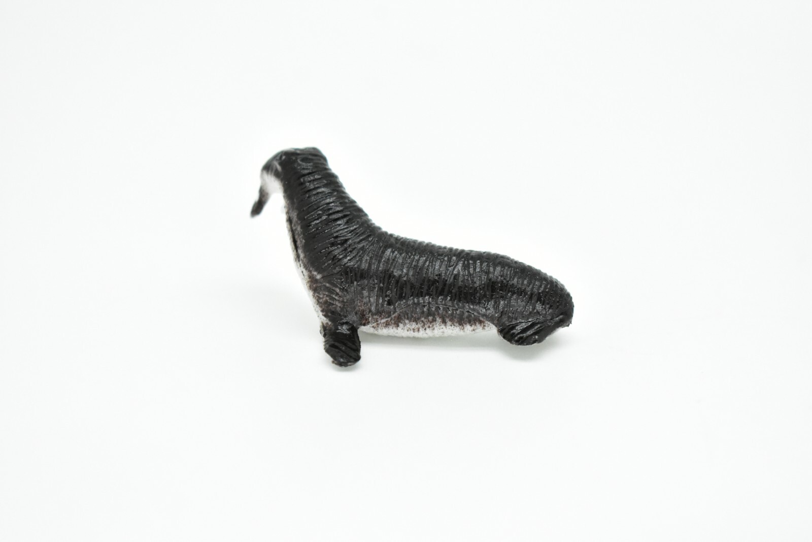 Walrus, Very Nice Plastic Replica 2″ ~ F0042-B123