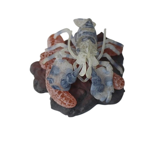 Marine Life Sea Ocean Shell Creatures Educational Figure Toys