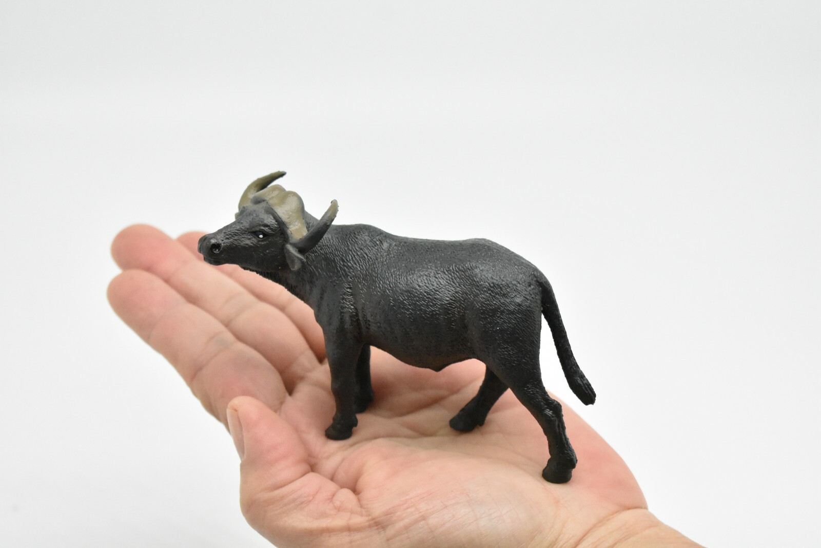 Cape Buffalo, Figure, Model, Plastic Replica, Realistic Hand Painted Toy 4 1/2″