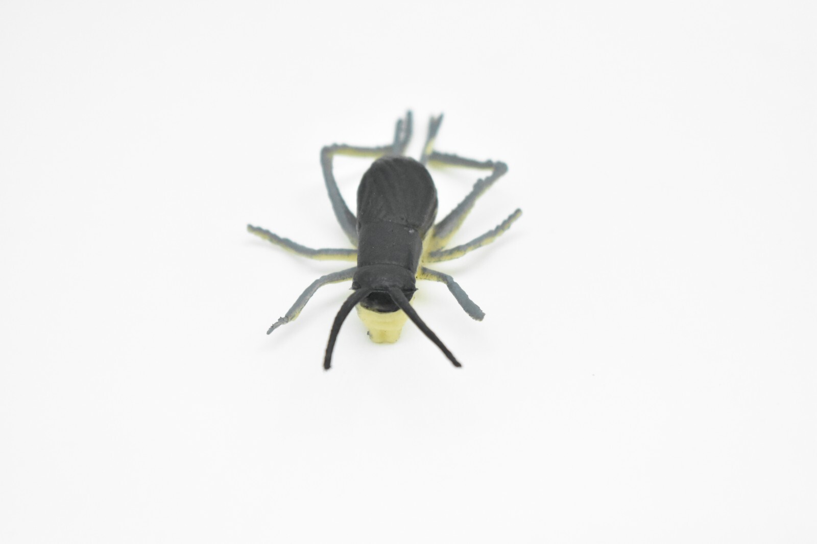 Cricket, Rubber Toy Animal, Realistic Figure, Model, Replica, Kids Gift 3″ F1058