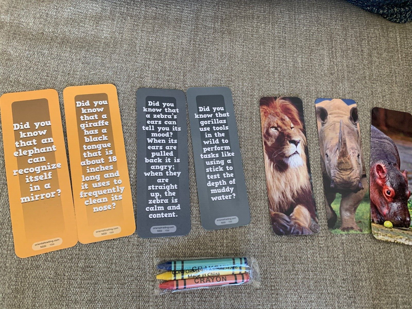 Kids DID YOU KNOW Cards African Safari Animals & Crayons Learning Educational