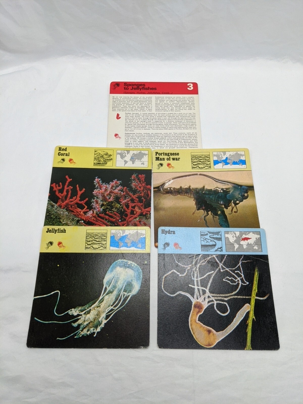 Lot Of (4) 1975 Rencontre Sponges And Jellyfishes Education Cards