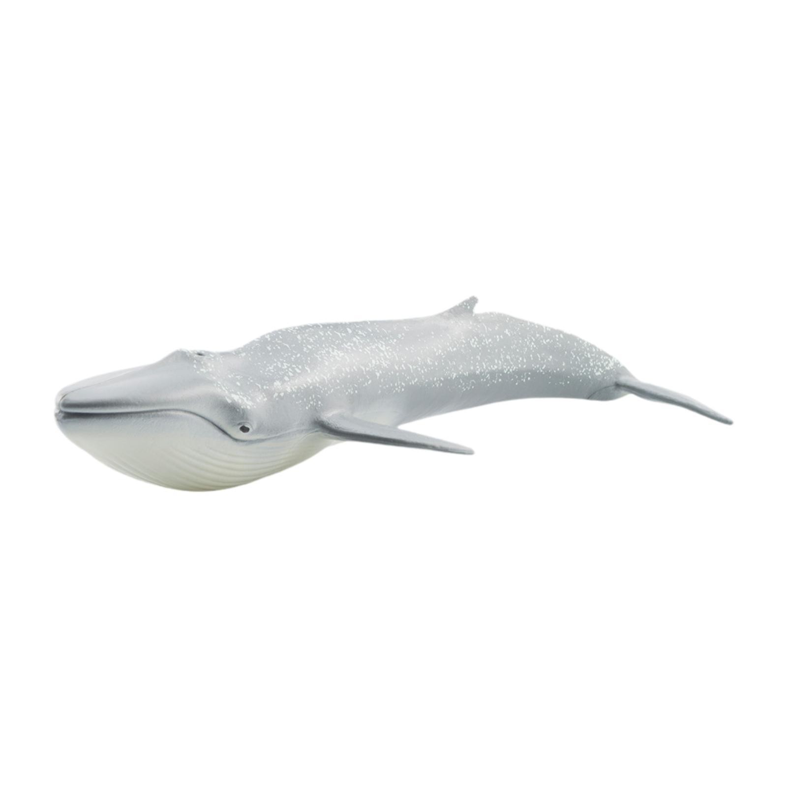 Simulation Animal Toy Model Decoration Sea Animal Toy for Boys Children Girls