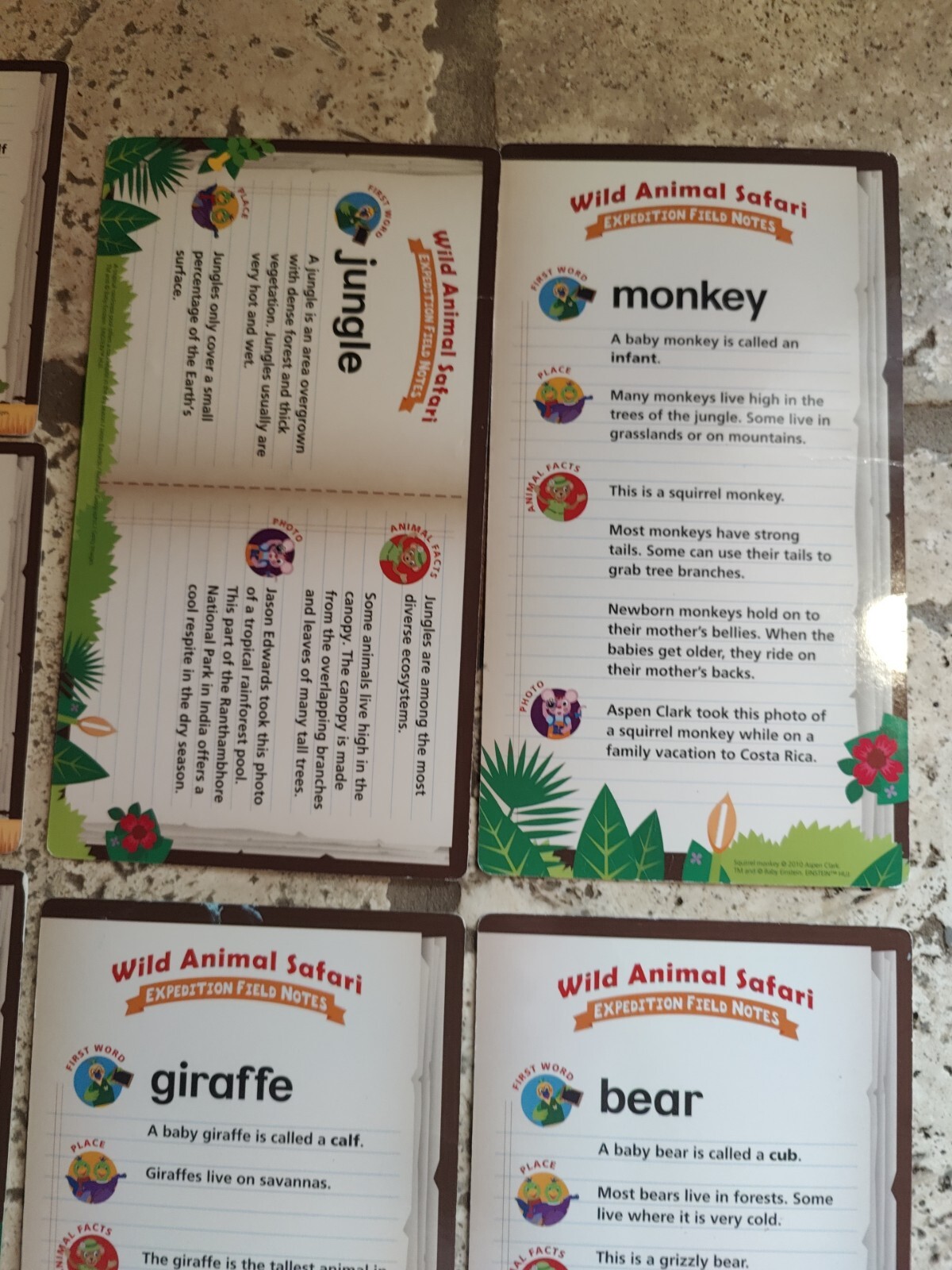 BABY EINSTEIN WILD ANIMAL SAFARI FLASH CARDS 8 CARDS SEE DESCRIPTION