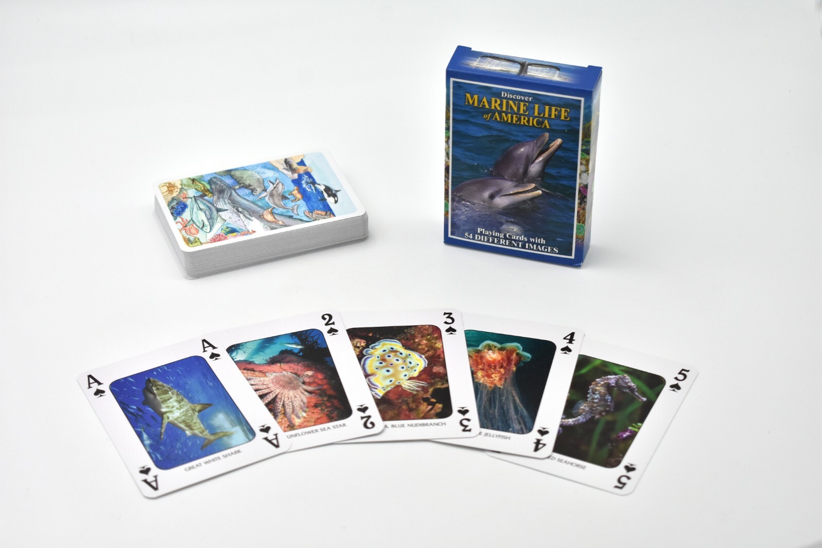 Marine Life of America, New Deck of Animal Themed Playing Cards 3 1/2″ SSA121