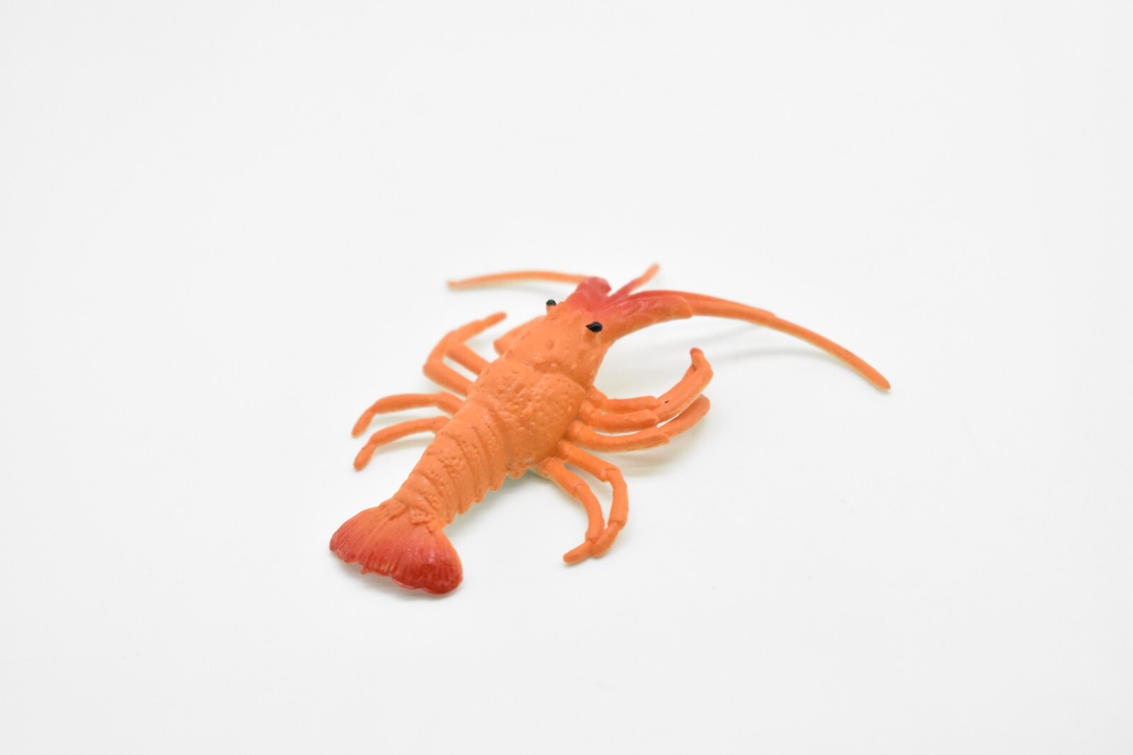 Lobster Toy, California spiny lobster, Realistic Plastic Replica 3″ CWG275 B46