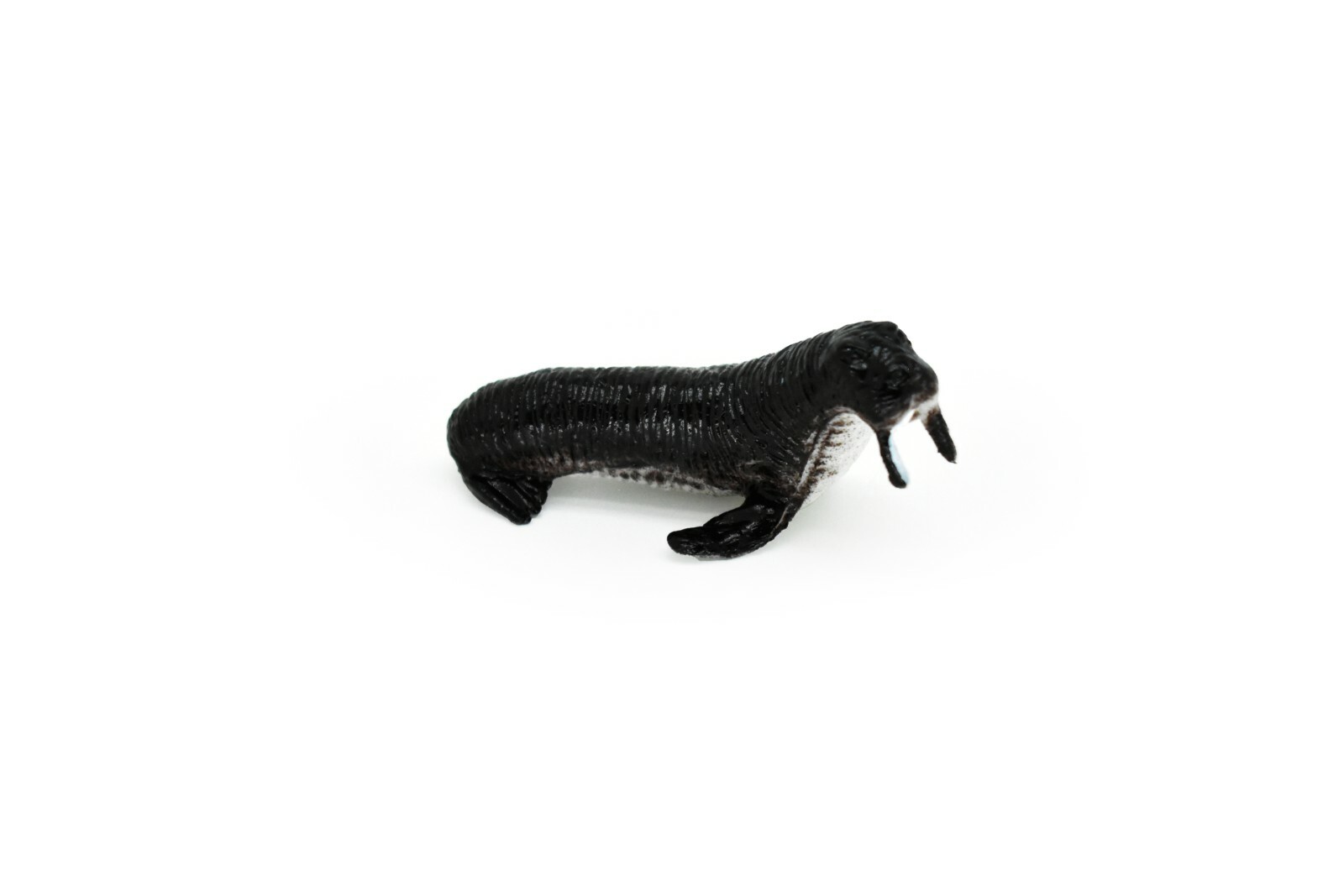 Walrus, Very Nice Plastic Replica 2″ ~ F0042-B123
