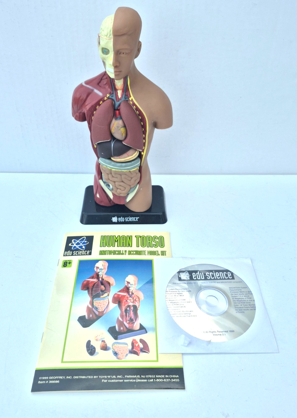 Human Anatomy Put Together Body Part Puzzle Internal Body Learning complete(A)
