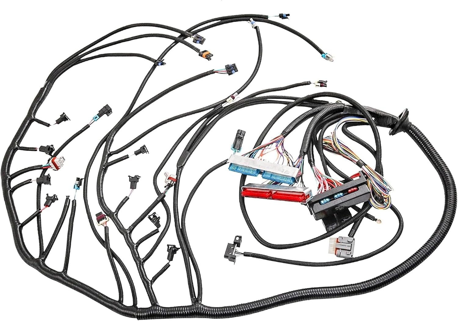 1997-2006 LS1 Standalone Wire Harness DBC 4.8L 5.3L 6.0L Wiring Harness 4L80E