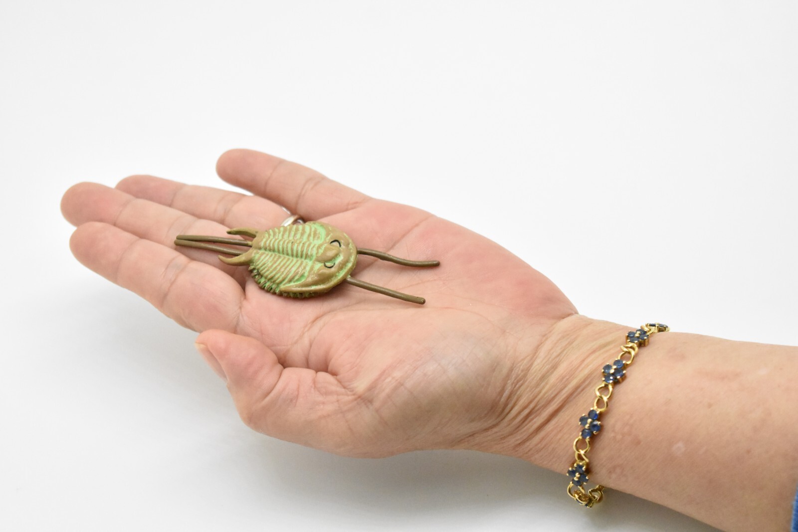 Tricrepicephalus, Trilobites, Fossil Toy Cambrian Sea Animal, Realistic Model