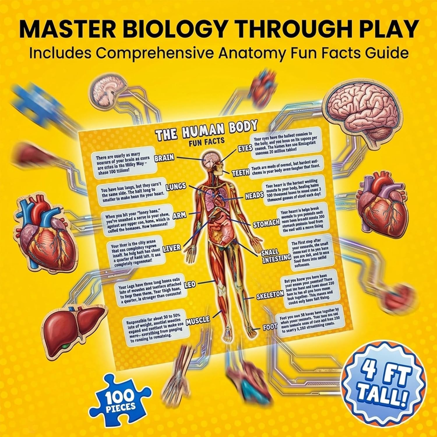 Human Anatomy Floor Puzzle For Kids Ages 6-8, 100-Piece 4 FT Tall Human Body Puz