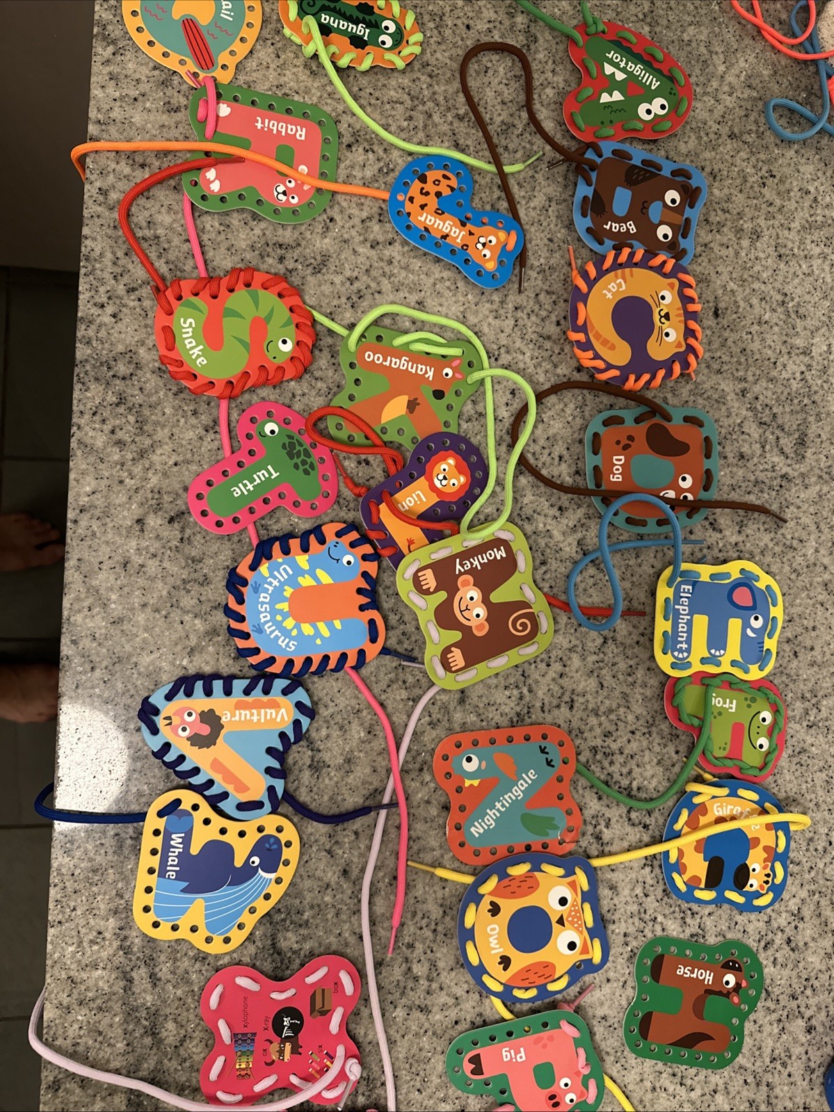 Lace and Trace Animal Learning Toy