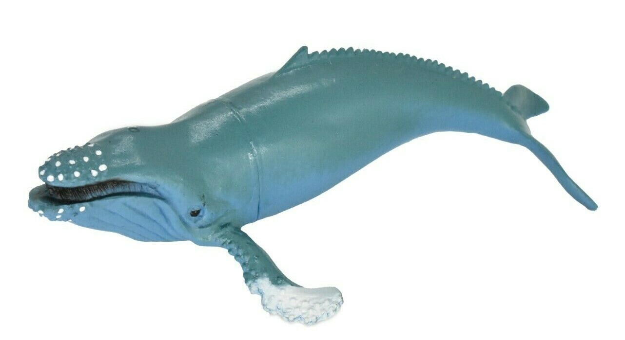 HUMPBACK WHALE 5 IN PLASTIC TOY MODEL – F473B5 MULTI PACK AVAILABLE