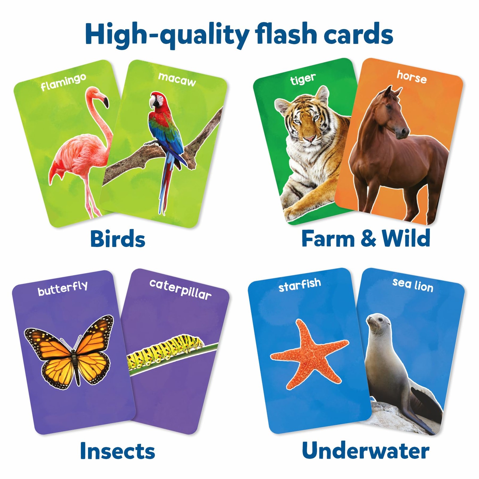 Multicolor Animal Flash Cards For Toddlers Educational Learning Fun 50 Cards