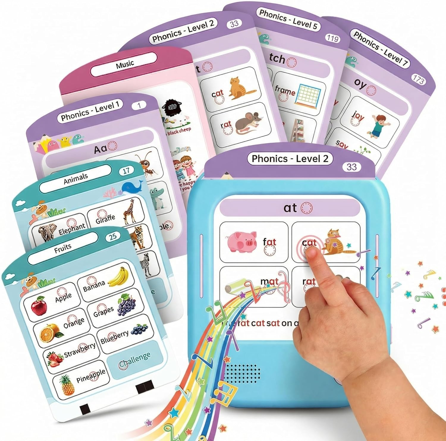 1200+ Words & Fun Facts Flashcards