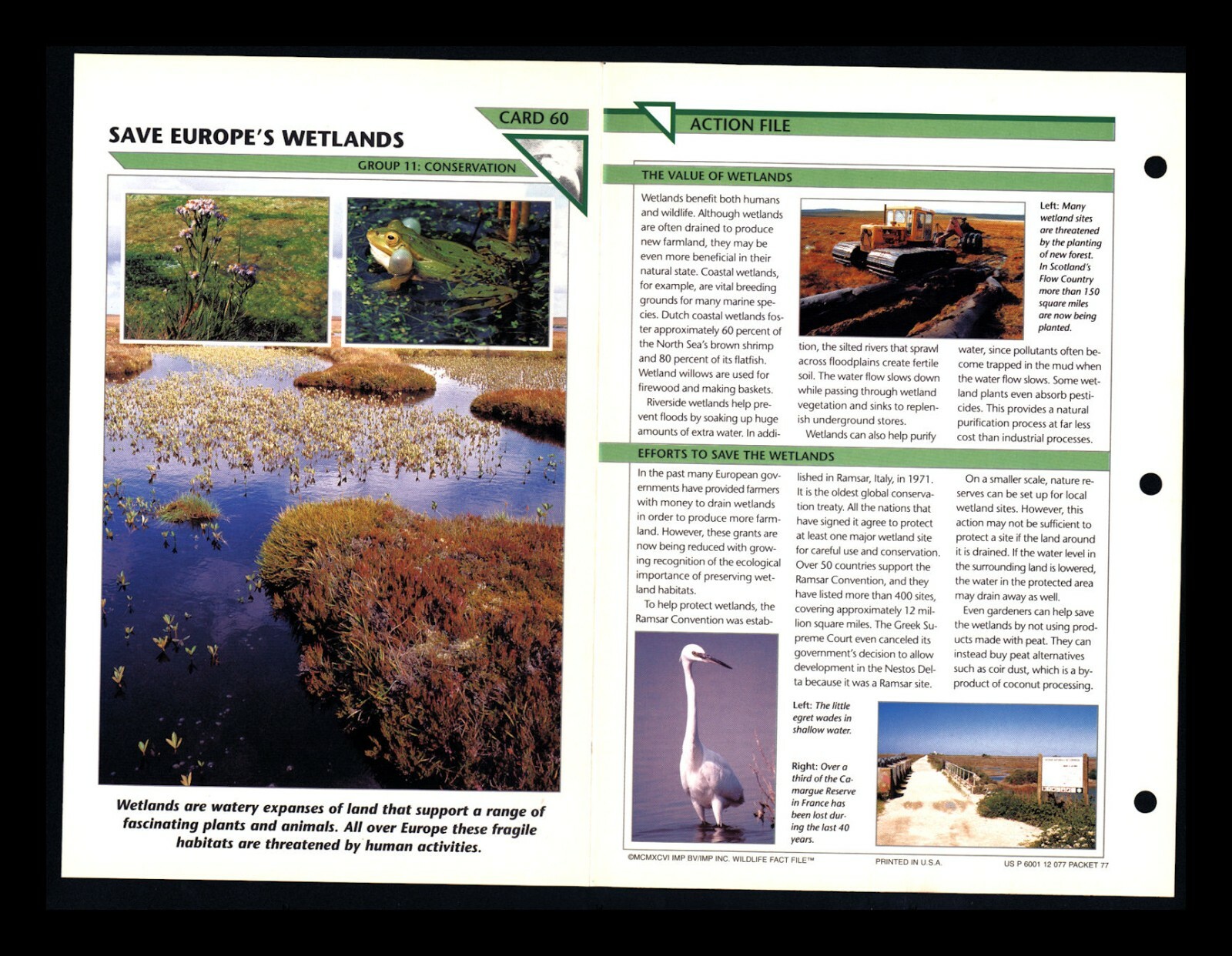 Save Europe’s Wetlands Wildlife Fact File Card Conservation Home School 11.60