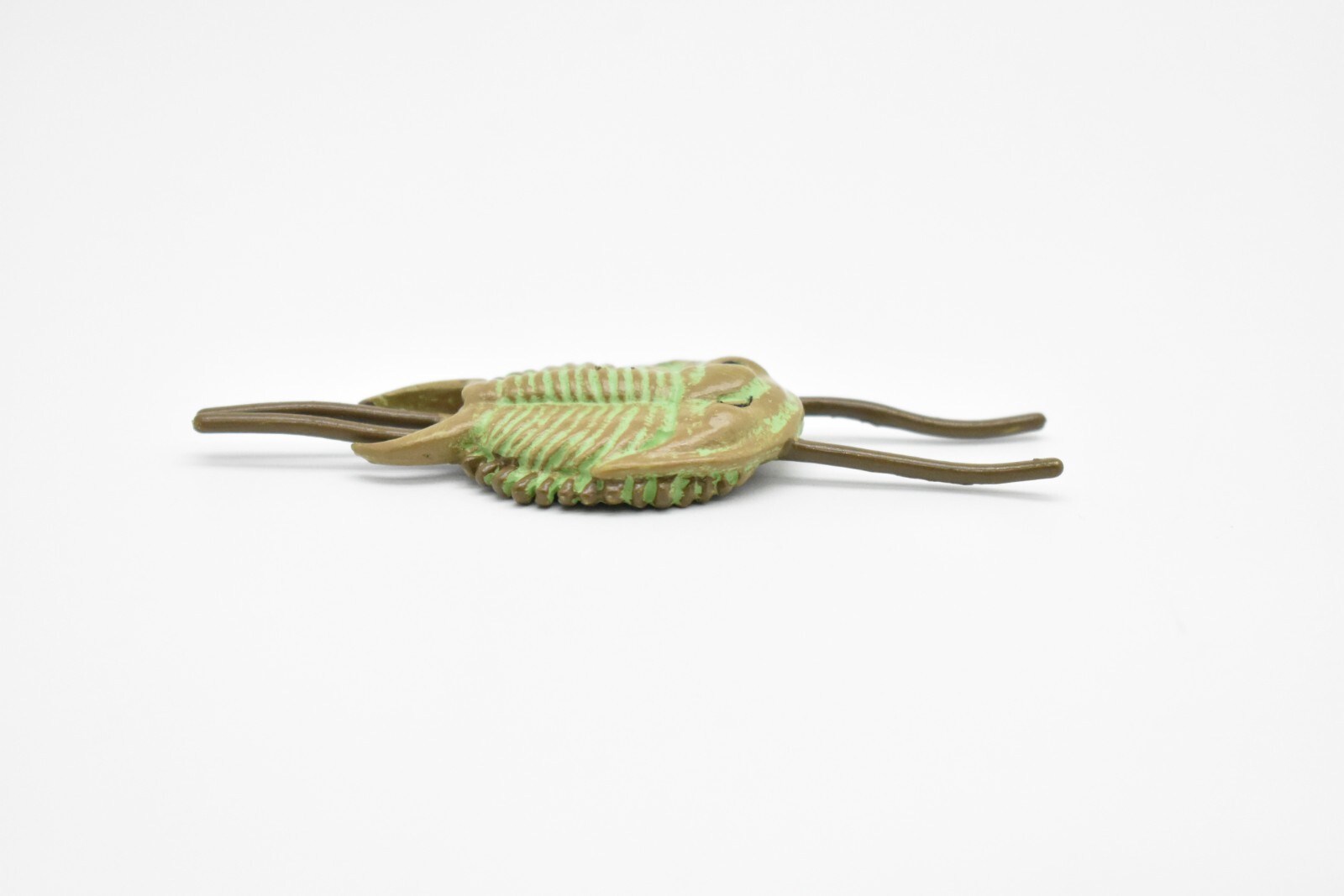 Tricrepicephalus, Trilobites, Fossil Toy Cambrian Sea Animal, Realistic Model
