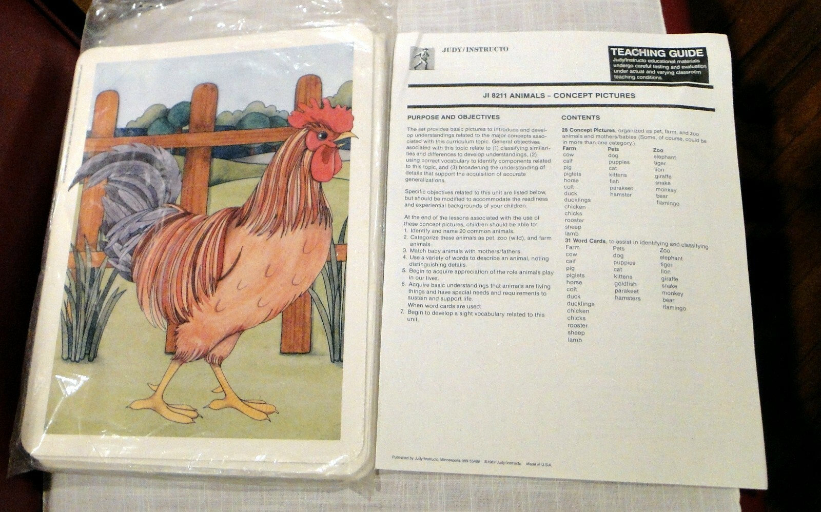 28 Animal Concept Pictures & 31 Word Cards for Identifying,8 1/2 x 11″ Judy/Inst