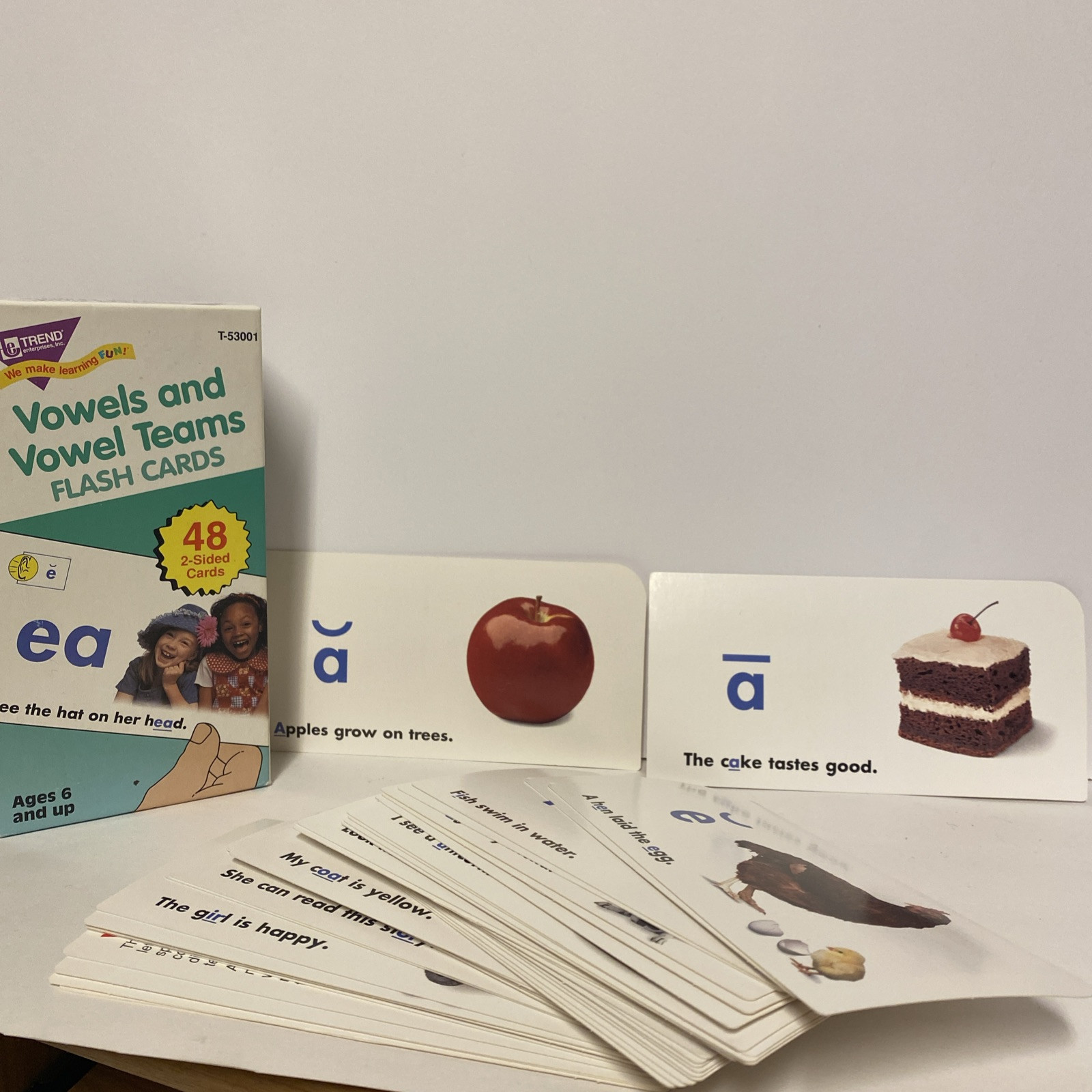 VTG TREND Vowels and Vowel Teams Skill Drill Flash Cards