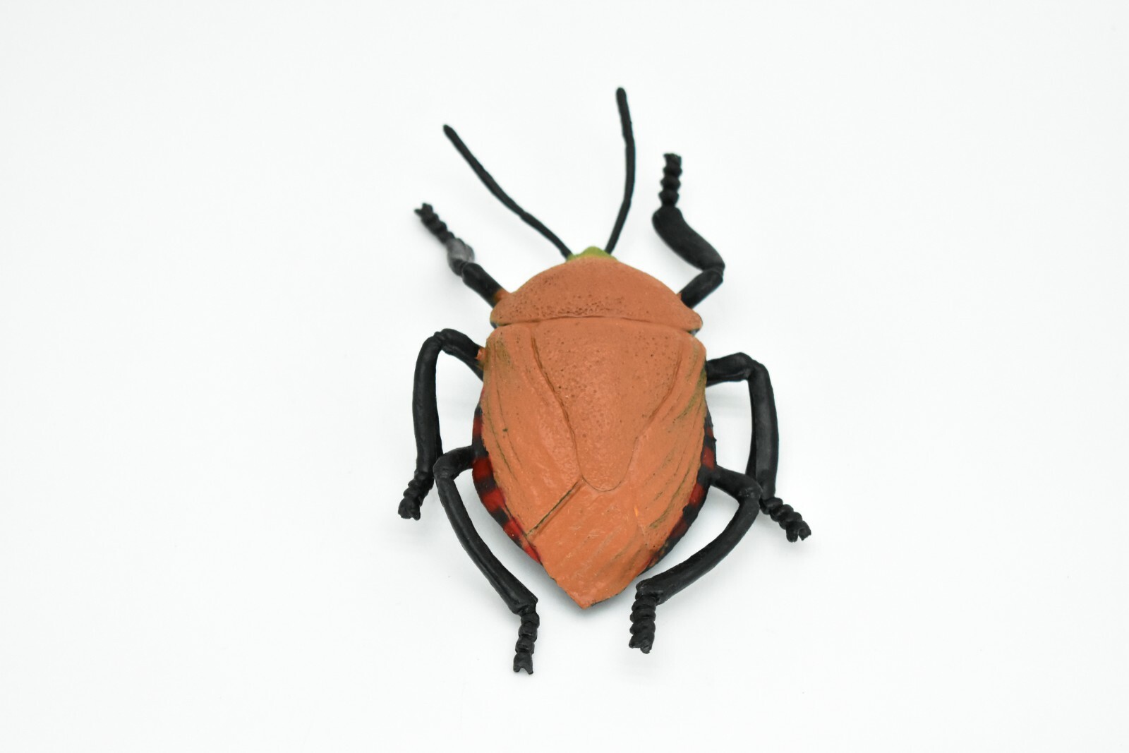 Beetle, Japanese, Brown, Very Nice Rubber Replica 5″ – F2066 B133