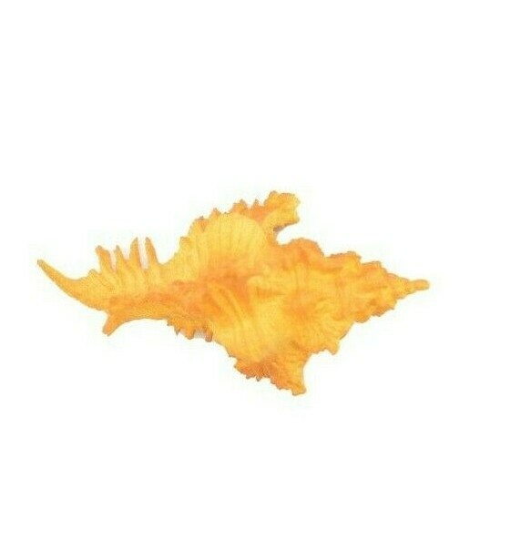 Murex Shell, Sea Snell, Pantone Color, Ocean, Sea Life, Toy, 2″ F4114 B96