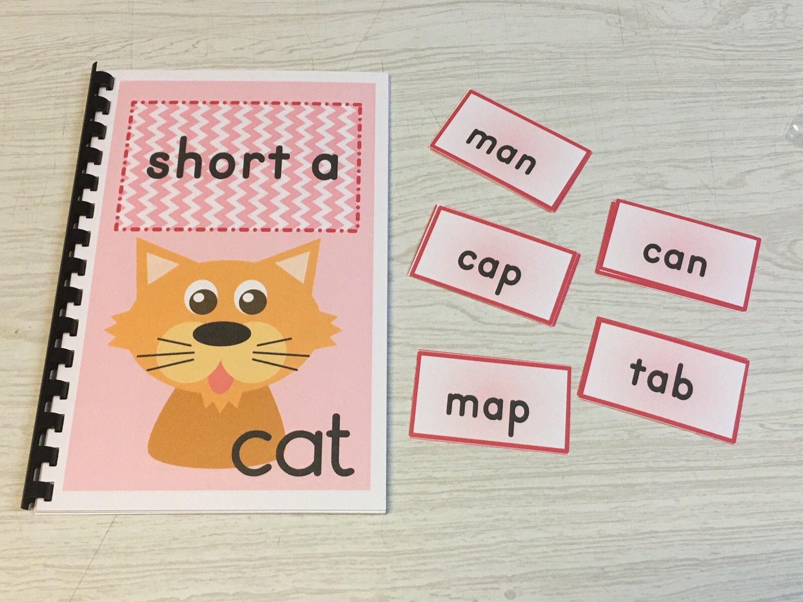 Interactive Learning Books for Children – Short “a” book – w/ 12 Laminated Cards