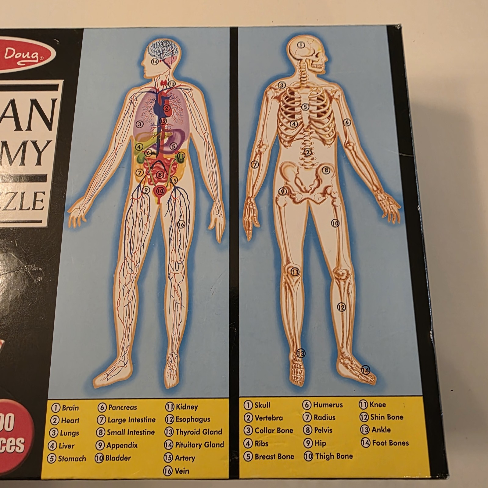 Melissa & Doug Human Anatomy 4’ Floor Puzzle #445 100 Pieces Complete