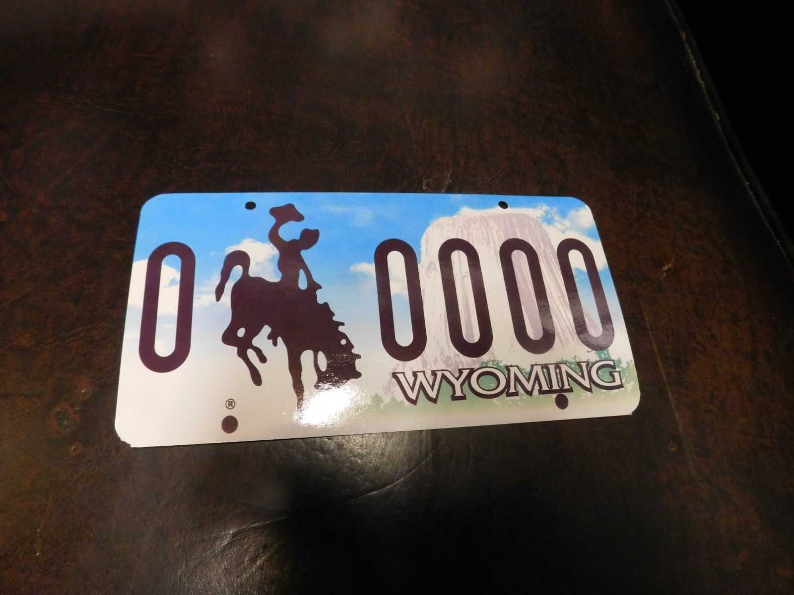 Flash Card Miniature Glossy Paper License Plate 2001 Series Sample Wyoming