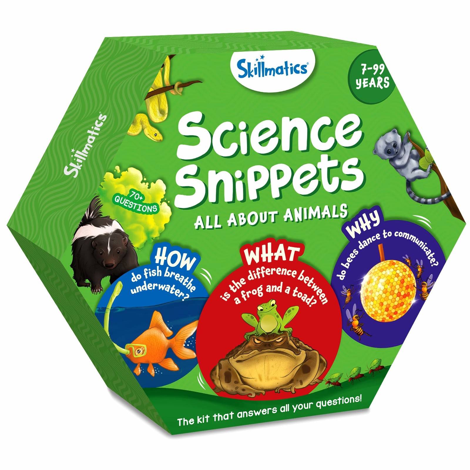 Skillmatics Flash Cards – Science 9.45 x 10.8 x 1.97 inches, Multicolor