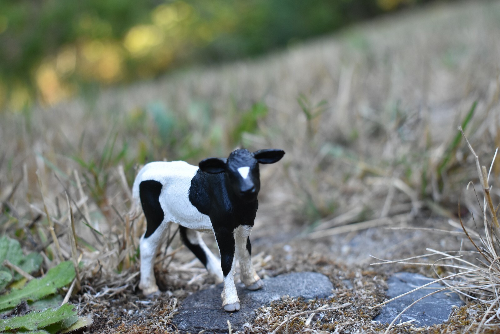 Cow Calf / Holstein Plastic Replica 3 1/2-inch – F1320 B56