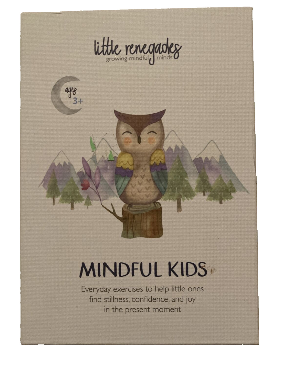 LITTLE RENEGADES Mindful Kids Cards Everyday Exercises Mindfulness Stillness….