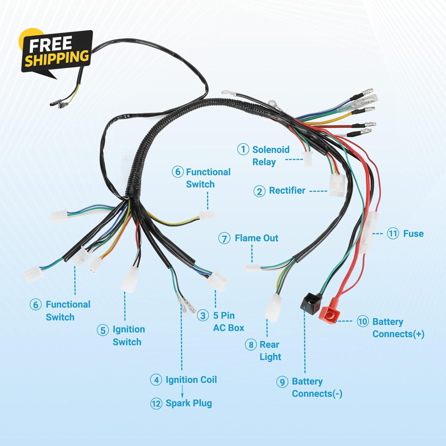 Electric Wiring Harness Kit Compatible with Taotao Coolster 110Cc 125Cc