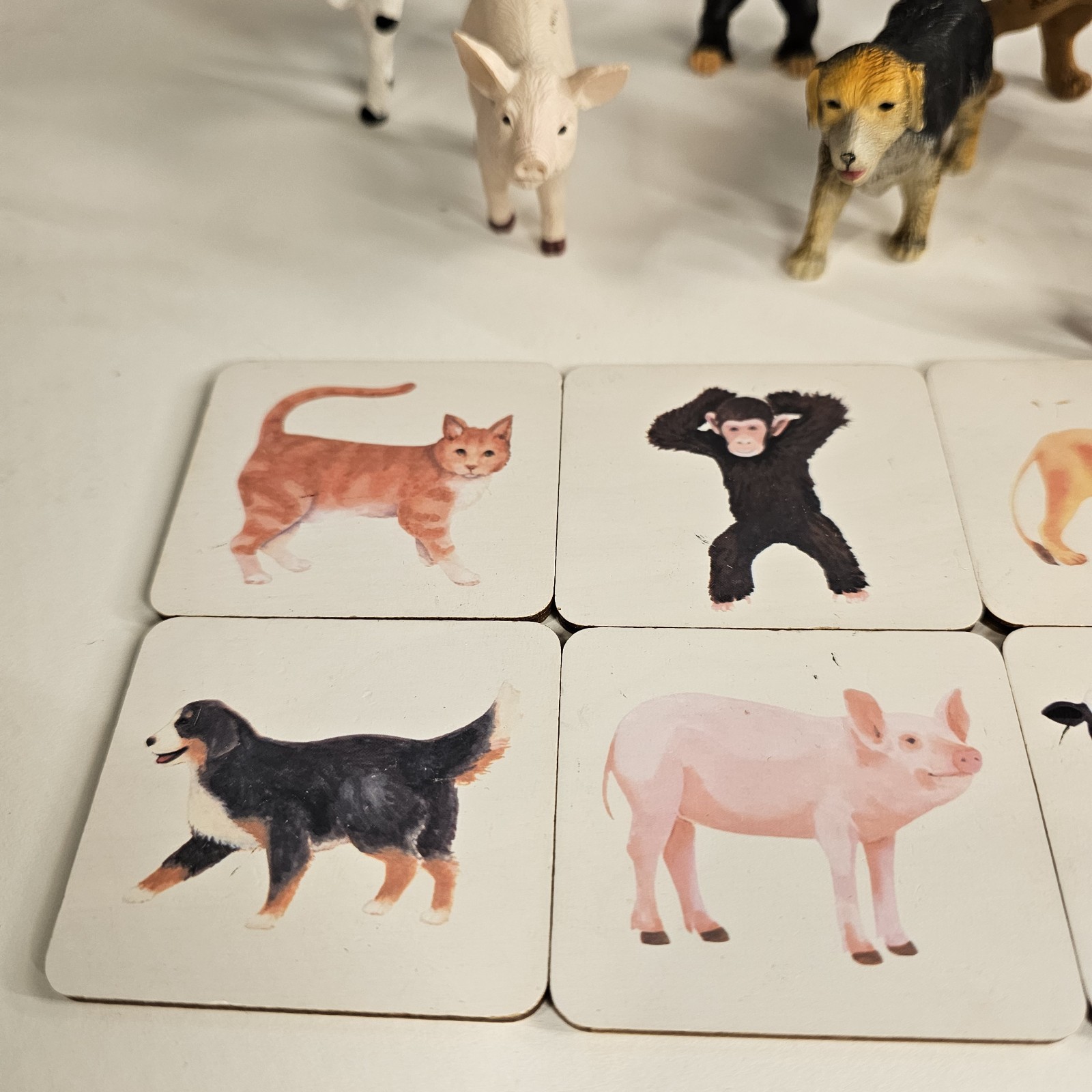 Montessori Animal Matching Game Figures & Flash Cards Sensory Learning Toy