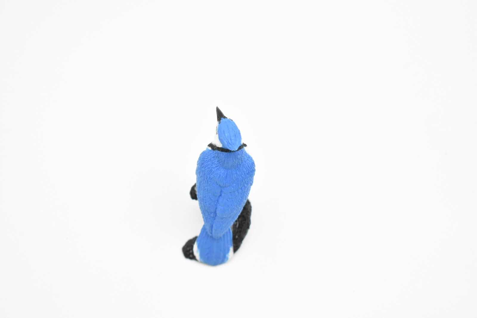 Blue Jay, Bird, Nice Plastic Reproduction 2 1/2″ F3388 B27
