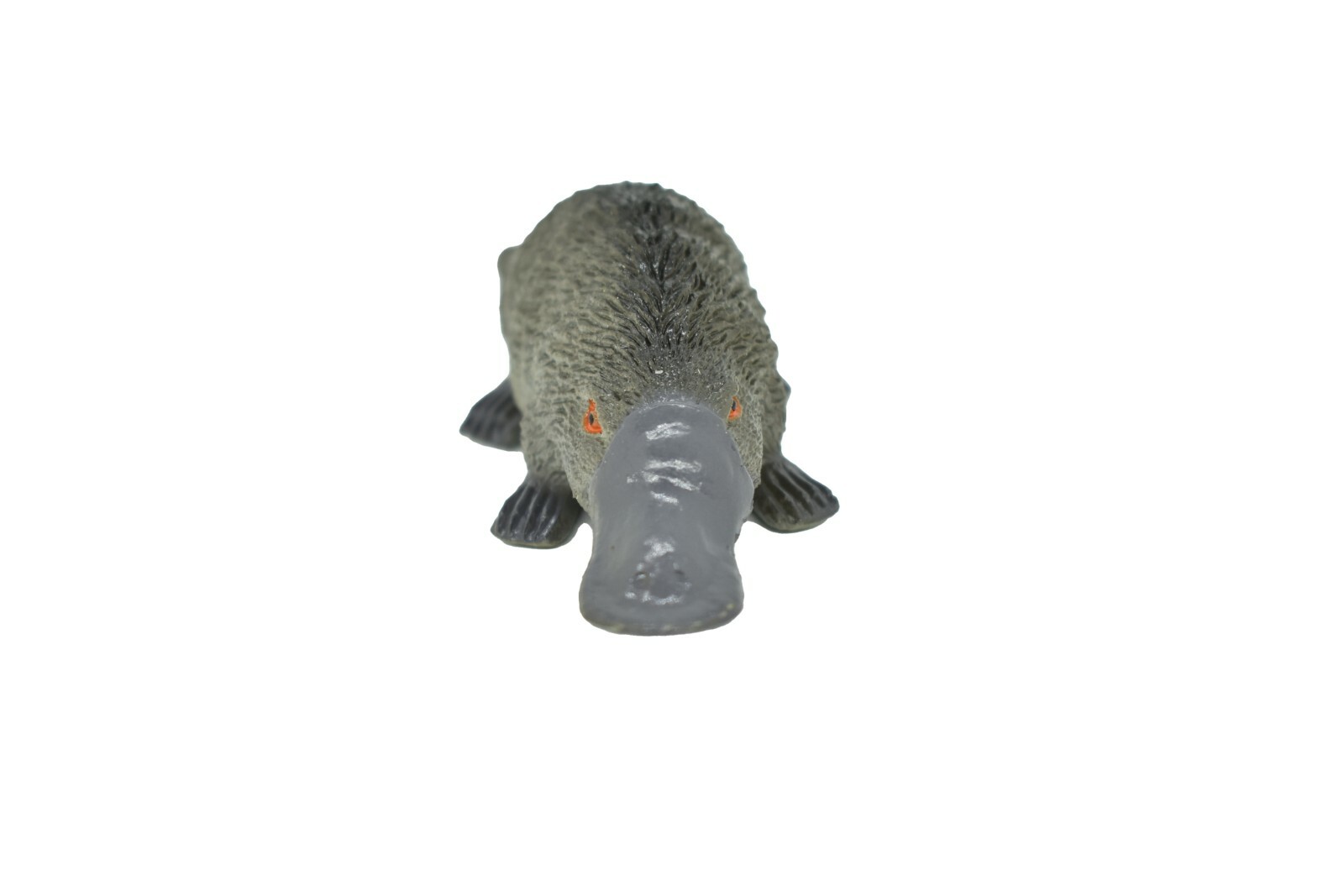 Platypus, Life Like Plastic Replica 4 inches long – F320 B111