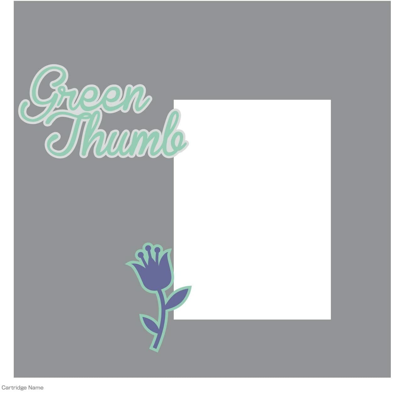 Cricut Family Album Cartridge – 350 Unique Images
