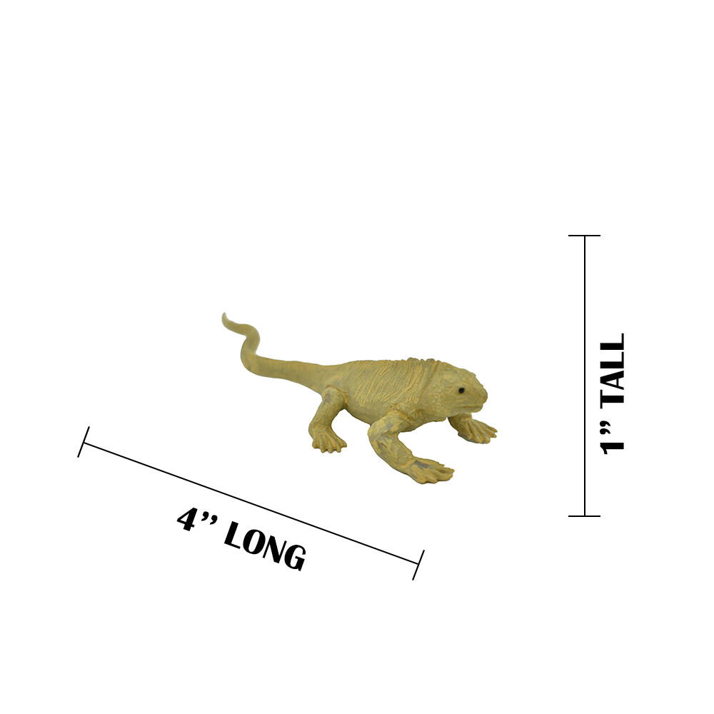 Iguana, Land Galapagos Islands Plastic Replica 4-inch plastic – F1525 B150