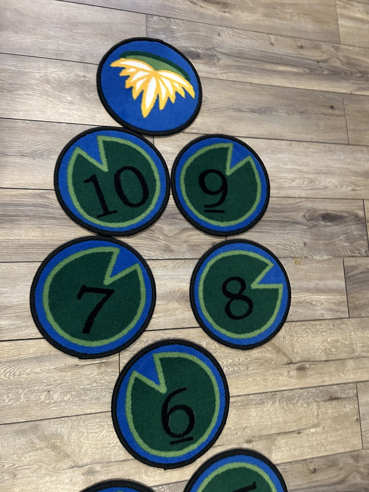 Carpet Circles Frog Lilly Pad 1-10 Numbers Hopscotch Preschool 12”
