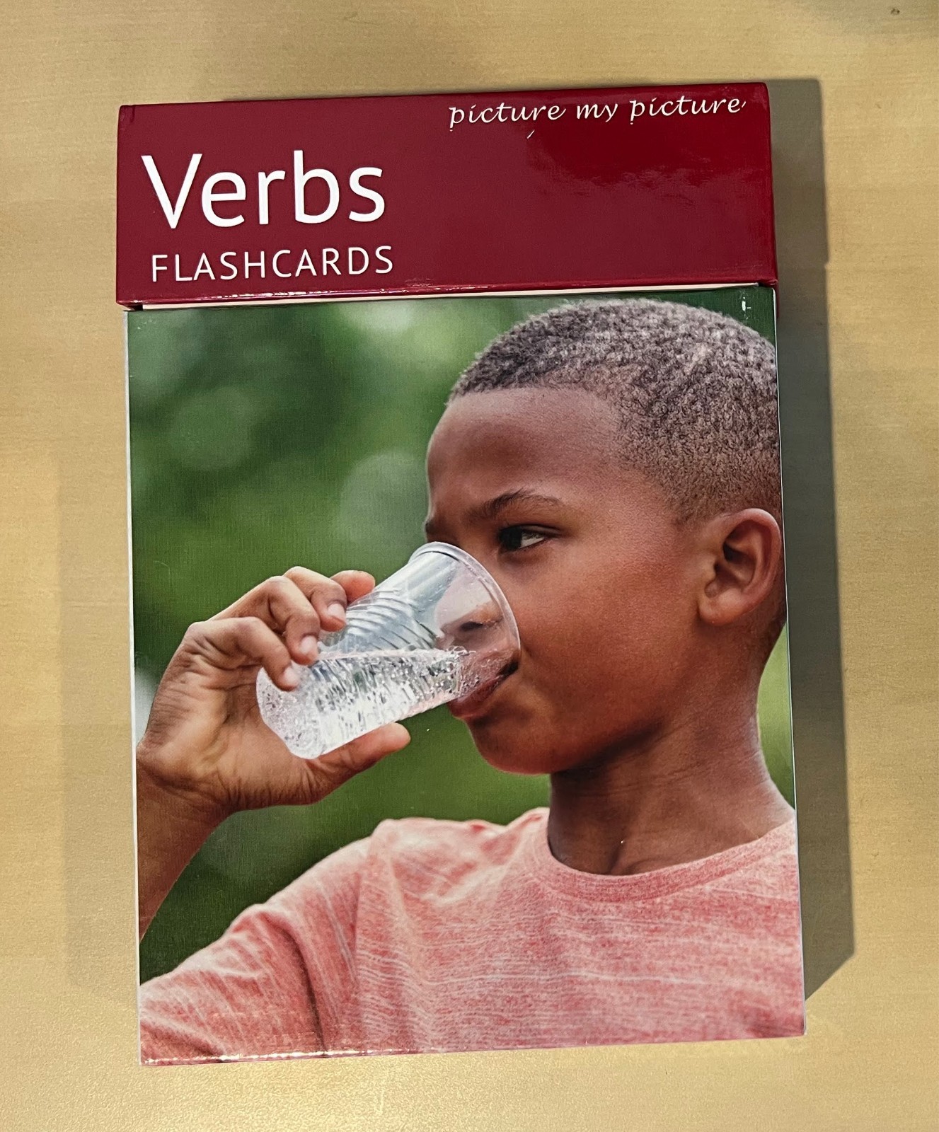 Picture My Picture “Verbs” 40 Photo Flash Cards for Language Development
