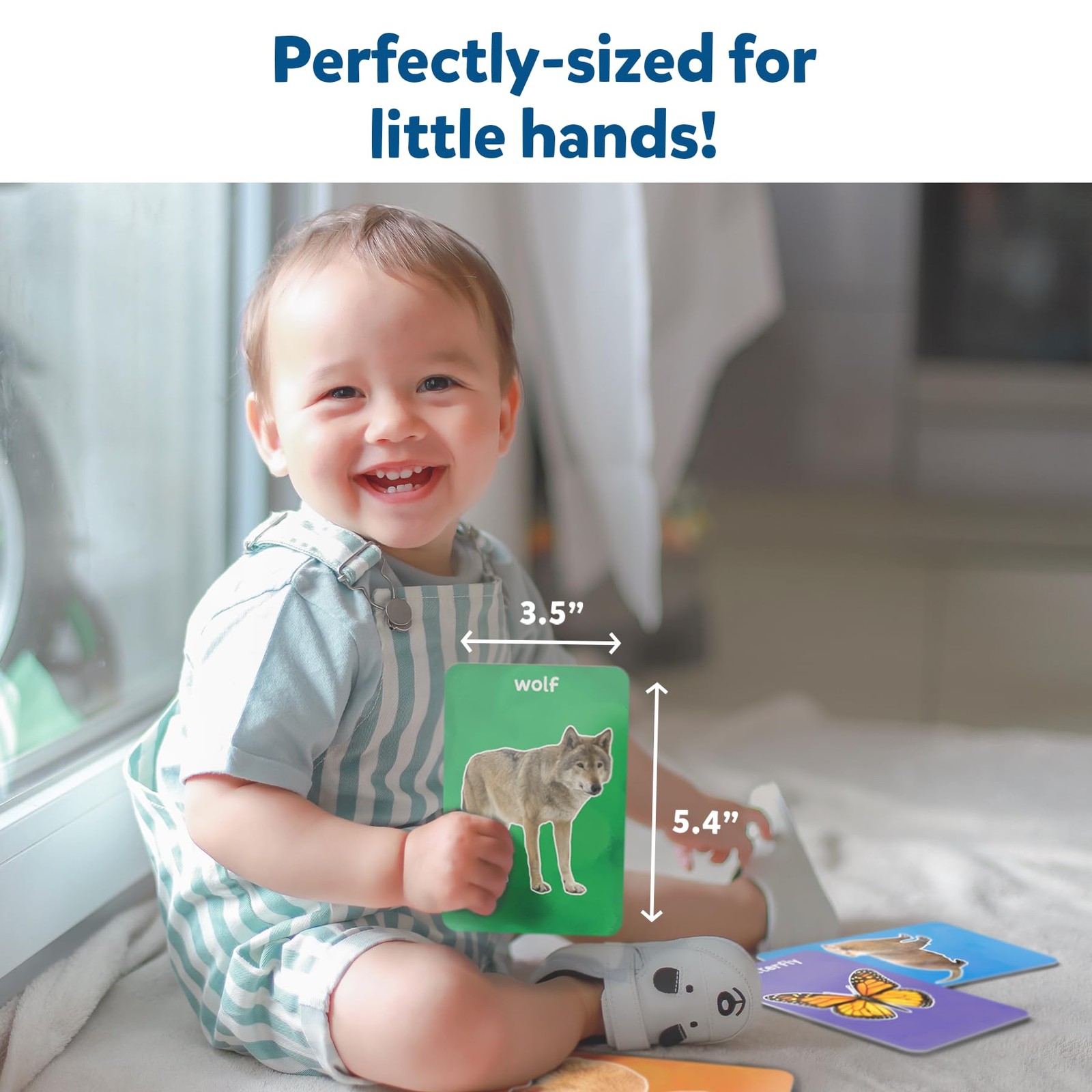 Multicolor Animal Flash Cards For Toddlers Educational Learning Fun 50 Cards